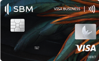 Visa Business Debit